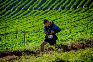 BIB: 
                            <button type="button" onclick="openModal(19160565)" class="btn btn-primary btn-sm float-right btn-popup" data-toggle="modal" data-target=".modal-high-quality">
                        <i class="fas fa-shopping-cart"></i> Add to Cart
                    </button>
                                            <button type="button" onclick="isThisMe(19160565, true)" class="btn btn-success btn-sm float-right btn-popup btn-isme hidden" data-toggle="tooltip" data-placement="bottom" title="นี่คือรูปของคุณใช่ไหม คลิกที่นี่เพื่อเอาเข้าอัลบั้ม">
                        <i class="fas fa-plus"></i> Add to album
                    </button>
                    <button type="button" onclick="isThisMe(19160565, false)" class="btn btn-warning btn-sm float-right btn-popup btn-isnotme hidden">
                        <i class="fas fa-ban"></i> Remove from album
                    </button>